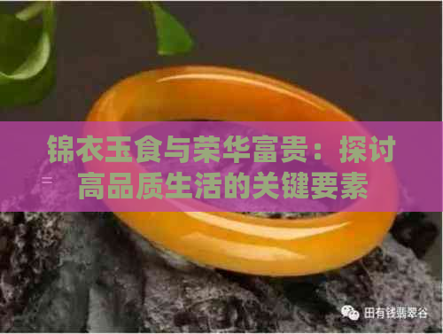 锦衣玉食与荣华富贵：探讨高品质生活的关键要素