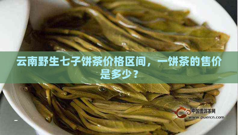 云南野生七子饼茶价格区间，一饼茶的售价是多少？