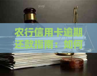 农行信用卡逾期还款指南：如何避免罚息和影响个人信用？