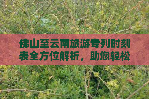 佛山至云南旅游专列时刻表全方位解析，助您轻松规划完美行程！