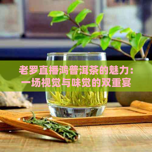 老罗直播鸿普洱茶的魅力：一场视觉与味觉的双重宴