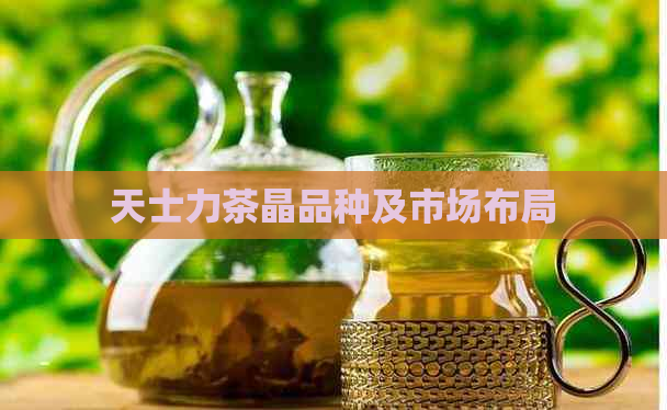 天士力茶晶品种及市场布局