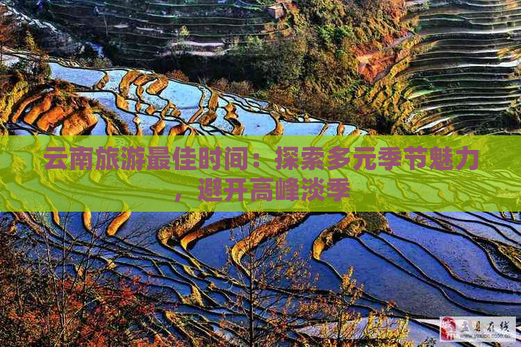 云南旅游更佳时间：探索多元季节魅力，避开高峰淡季