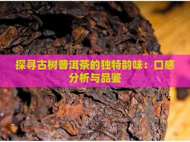 探寻古树普洱茶的独特韵味：口感分析与品鉴