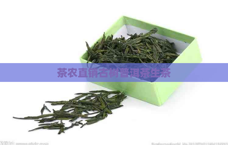 茶农直销古树普洱茶生茶