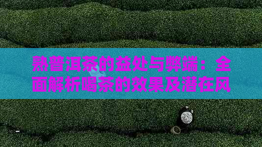 熟普洱茶的益处与弊端：全面解析喝茶的效果及潜在风险