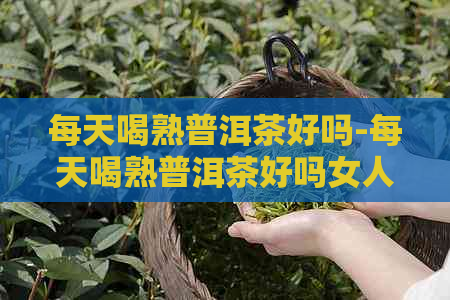 每天喝熟普洱茶好吗-每天喝熟普洱茶好吗女人