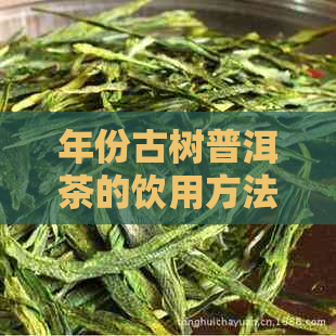 年份古树普洱茶的饮用方法、适宜人群与禁忌，能否全年享用？解答您的疑问