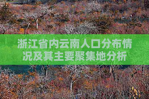 浙江省内云南人口分布情况及其主要聚集地分析