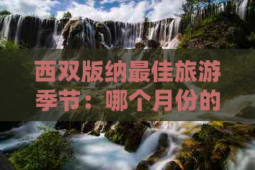 西双版纳更佳旅游季节：哪个月份的天气和景色最宜人？