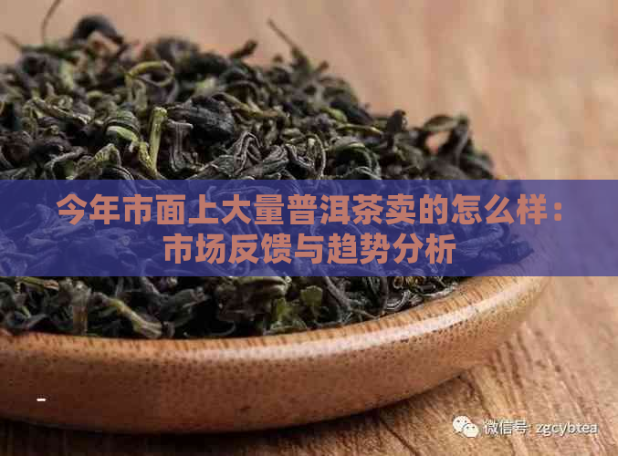 今年市面上大量普洱茶卖的怎么样：市场反馈与趋势分析