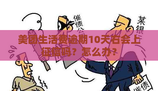 美团生活费逾期10天右会上吗？怎么办？