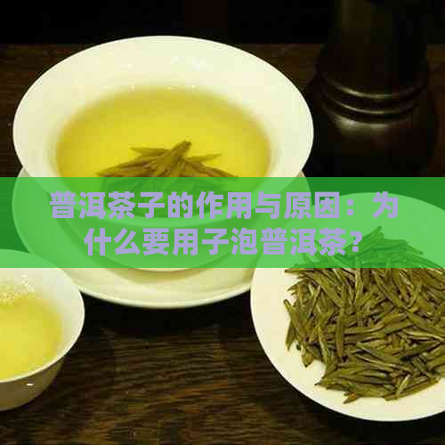 普洱茶子的作用与原因：为什么要用子泡普洱茶？