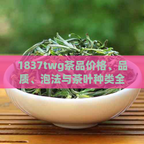 1837twg茶品价格、品质、泡法与茶叶种类全方位解析，让你轻松了解茶的世界