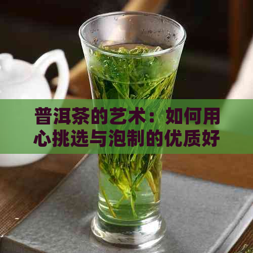 普洱茶的艺术：如何用心挑选与泡制的优质好茶？