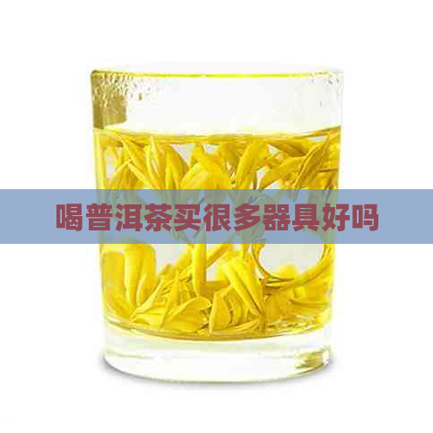 喝普洱茶买很多器具好吗