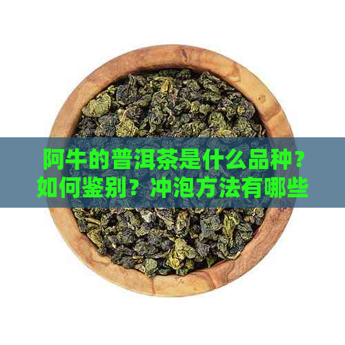 阿牛的普洱茶是什么品种？如何鉴别？冲泡方法有哪些？