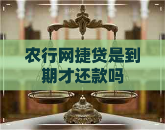 农行网捷贷是到期才还款吗