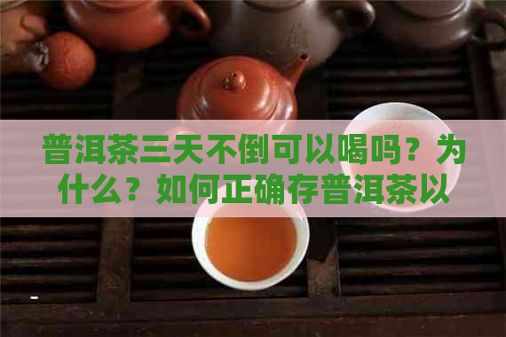 普洱茶三天不倒可以喝吗？为什么？如何正确存普洱茶以保持其品质和口感？