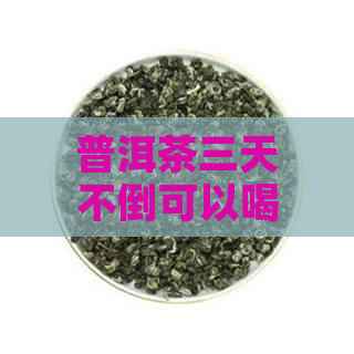 普洱茶三天不倒可以喝吗