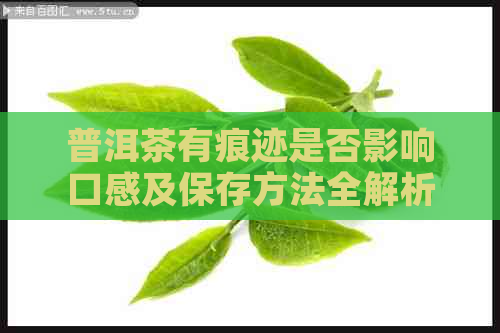 普洱茶有痕迹是否影响口感及保存方法全解析