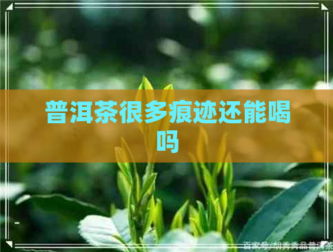 普洱茶很多痕迹还能喝吗