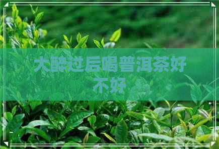 大醉过后喝普洱茶好不好