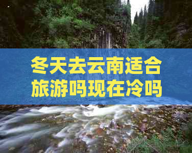 冬天去云南适合旅游吗现在冷吗？