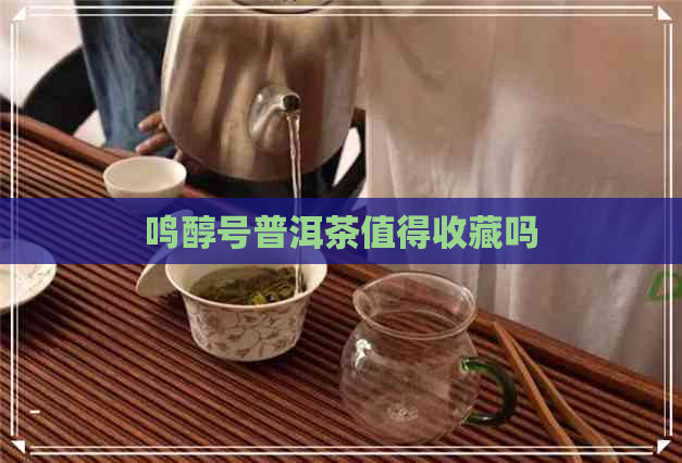 鸣醇号普洱茶值得收藏吗