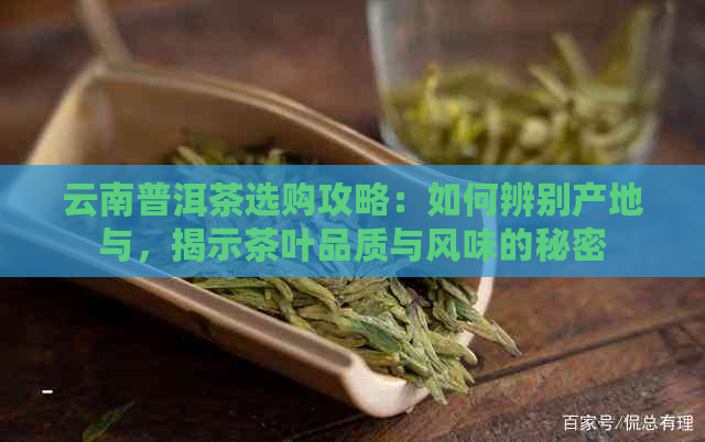 云南普洱茶选购攻略：如何辨别产地与，揭示茶叶品质与风味的秘密