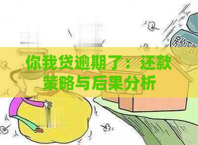 你我贷逾期了：还款策略与后果分析