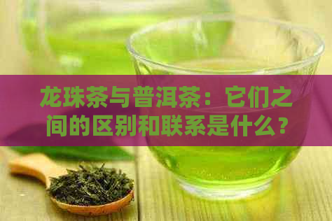 龙珠茶与普洱茶：它们之间的区别和联系是什么？