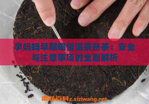 孕妈妈早期喝普洱茶熟茶：安全与注意事项的全面解析