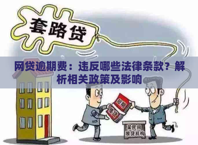 网贷逾期费：违反哪些法律条款？解析相关政策及影响