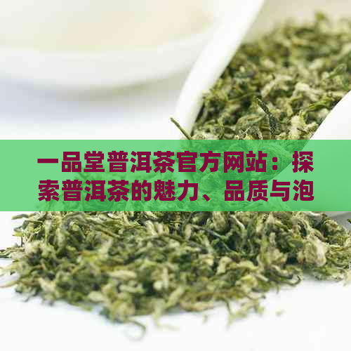 一品堂普洱茶官方网站：探索普洱茶的魅力、品质与泡法，解答您的所有疑问