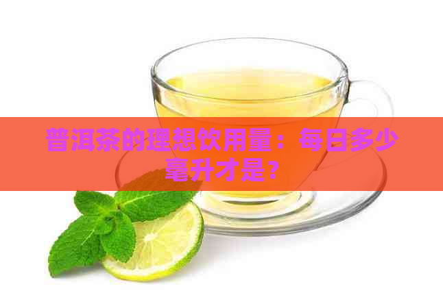 普洱茶的理想饮用量：每日多少毫升才是？