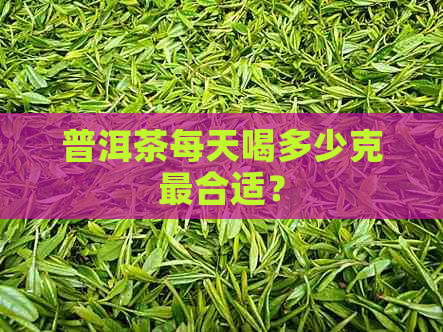 普洱茶每天喝多少克最合适？