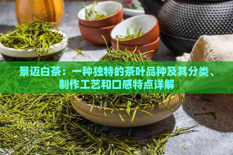 景迈白茶：一种独特的茶叶品种及其分类、制作工艺和口感特点详解