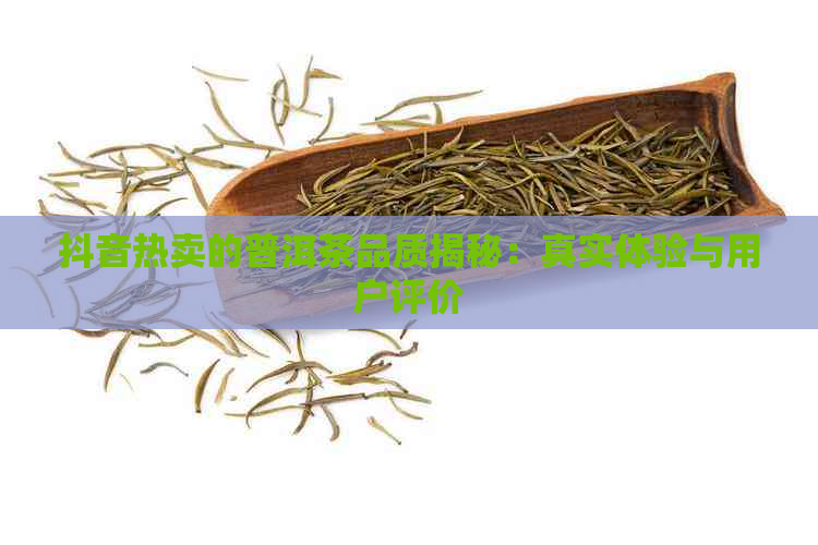 抖音热卖的普洱茶品质揭秘：真实体验与用户评价