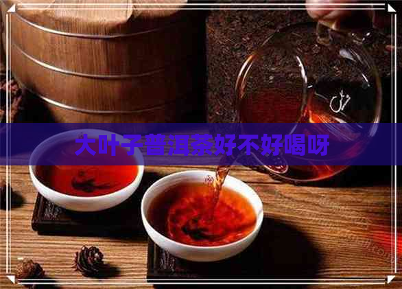 大叶子普洱茶好不好喝呀