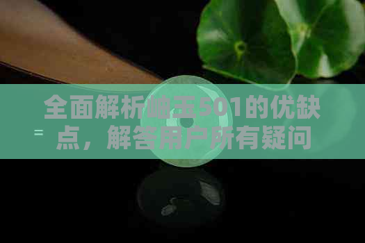 全面解析岫玉501的优缺点，解答用户所有疑问