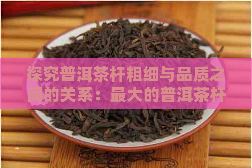 探究普洱茶杆粗细与品质之间的关系：更大的普洱茶杆究竟有多粗？