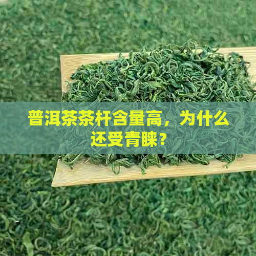 普洱茶茶杆含量高，为什么还受青睐？