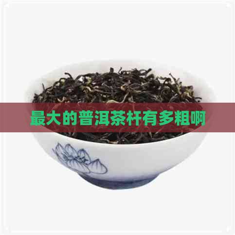 更大的普洱茶杆有多粗啊