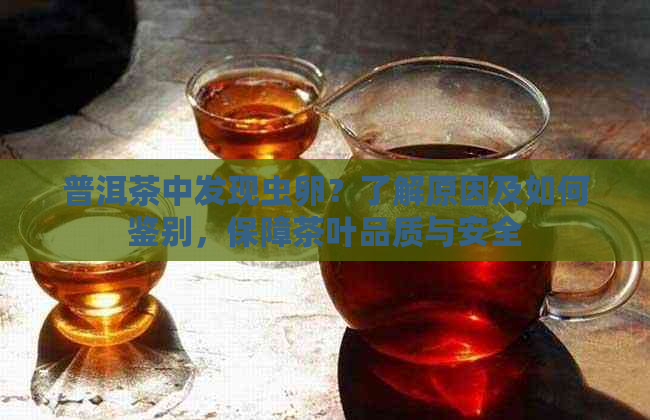 普洱茶中发现虫卵？了解原因及如何鉴别，保障茶叶品质与安全