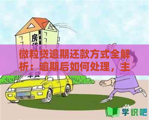 微粒贷逾期还款方式全解析：逾期后如何处理，主动还款操作指南