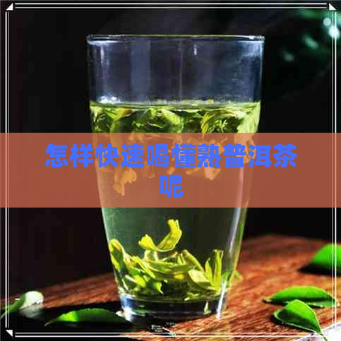 怎样快速喝懂熟普洱茶呢