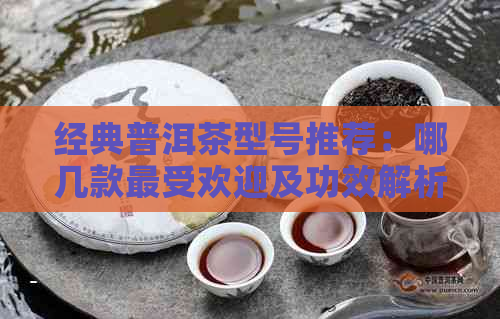 经典普洱茶型号推荐：哪几款更受欢迎及功效解析