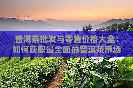 普洱茶批发与零售价格大全：如何获取最全面的普洱茶市场行情？