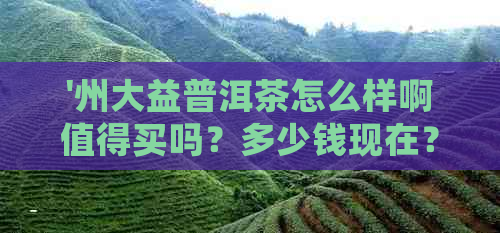 '州大益普洱茶怎么样啊值得买吗？多少钱现在？'